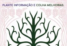 10ª Avaliação Online de Cursos e Professores da Unisanta começa no dia 9/10