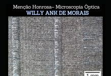 willy-ank-concurso-metmat