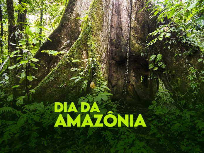 Em 5 de setembro, é comemorado o Dia da Amazônia, bioma que está entre os mais ricos e essenciais para a vida no mundo e que ocupa boa parte do território brasileiro na região Norte