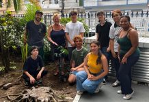 Herbário Unisanta realiza plantio de pau-brasil no campus