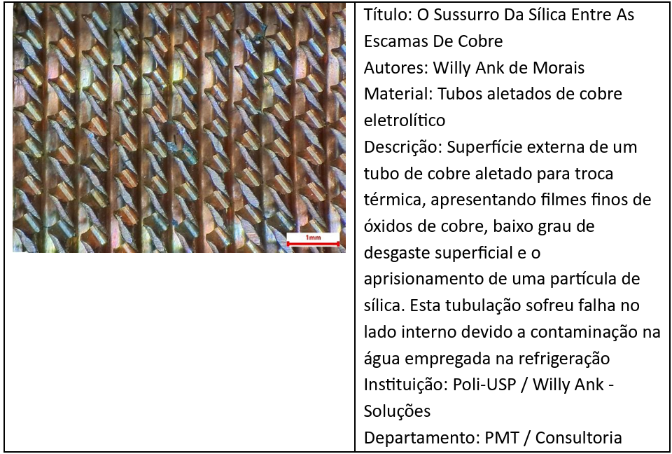 Professor da Universidade Santa Cecília, Willy Ank conquista 2º lugar em microscopia óptica no XXIV Concurso MetMat de Fotomicrografias de Metalurgia e Materiais com fotografia premiada.