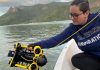 Unisanta é a única instituição particular aprovada pela FAPESP para projetos de conservação marinha