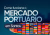 Como funciona o mercado portuário em Santos? Entenda como funciona o mercado portuário em Santos e as oportunidades de carreira no maior porto da América Latina.