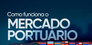 Entenda como funciona o mercado portuário em Santos e as oportunidades de carreira no maior porto da América Latina.