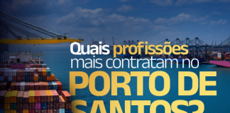 Conheça as profissões que mais contratam no Porto de Santos e descubra as áreas com maior demanda no complexo portuário da Baixada Santista