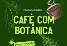 IX Café com Botânica celebra quatro décadas da Biologia Unisanta